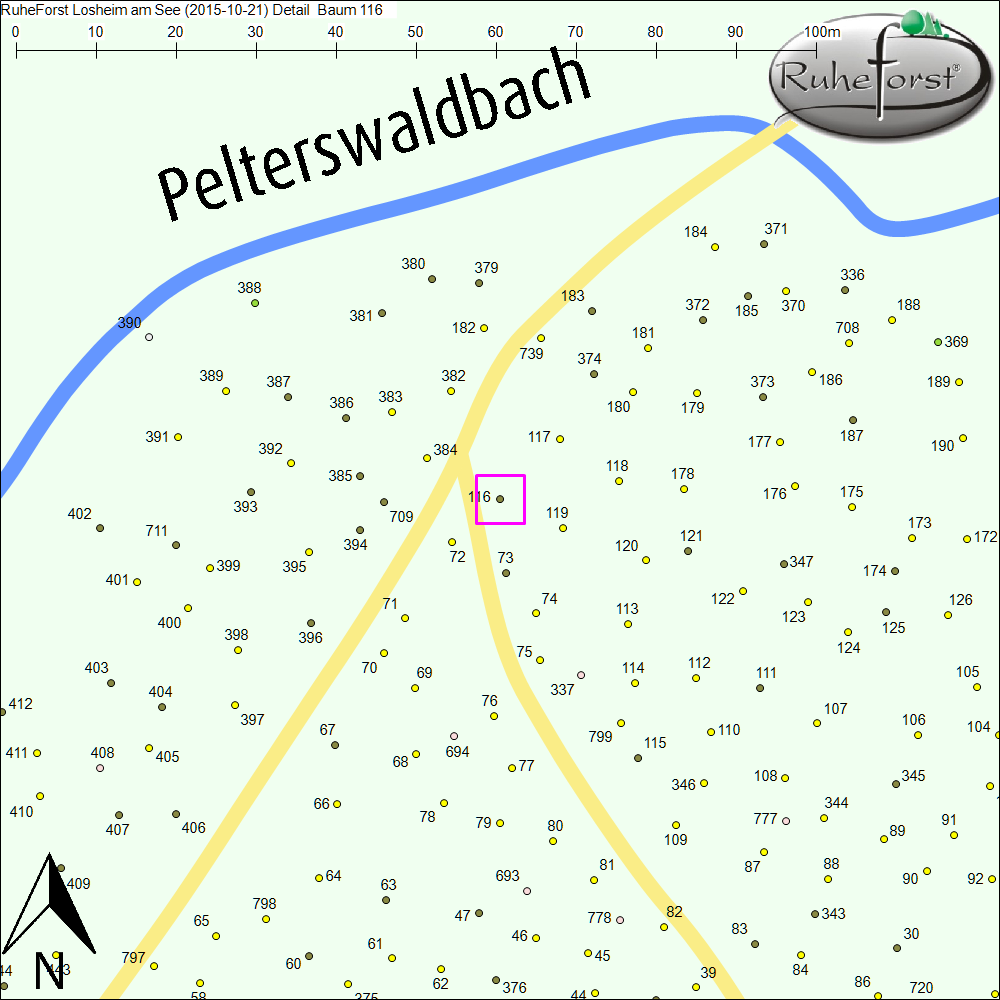 Detailkarte zu Baum 116