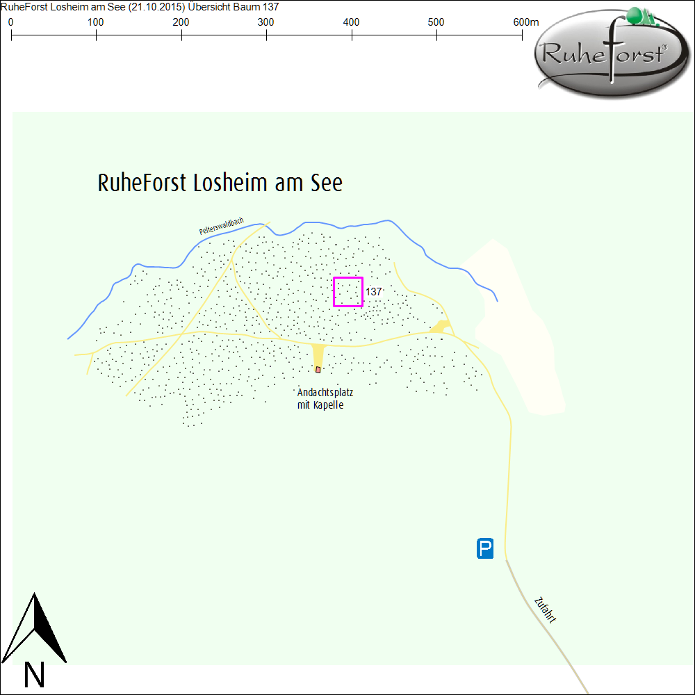 Übersichtskarte zu Baum 137