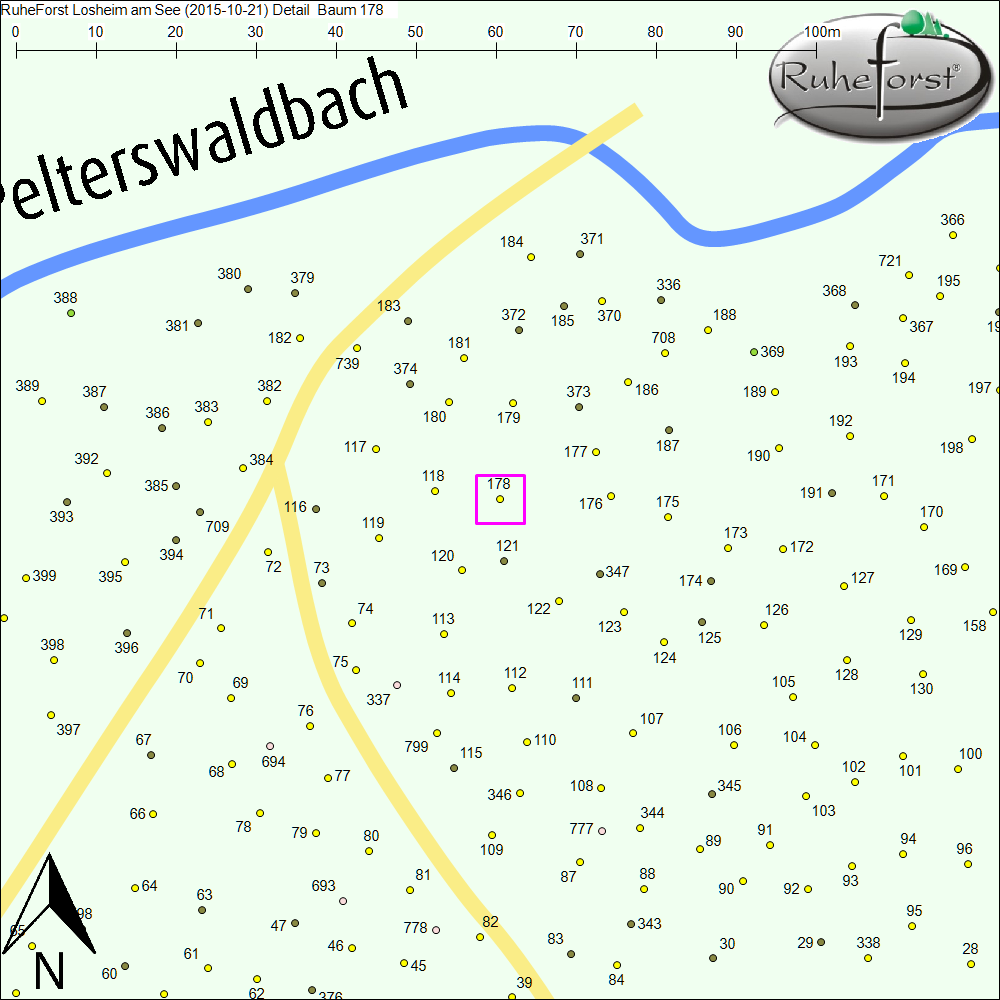 Detailkarte zu Baum 178