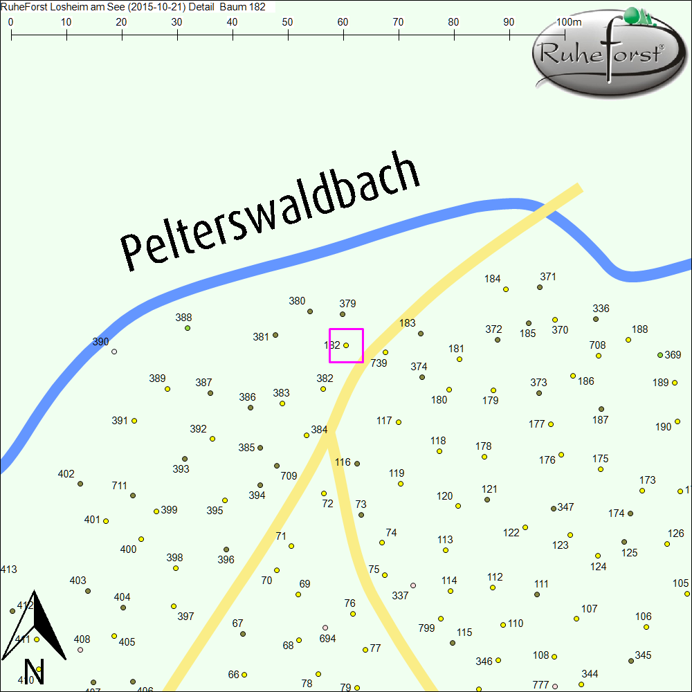 Detailkarte zu Baum 182