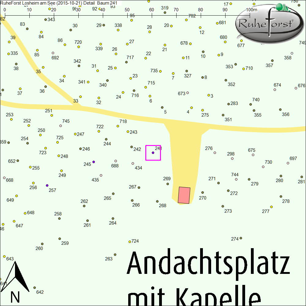 Detailkarte zu Baum 241