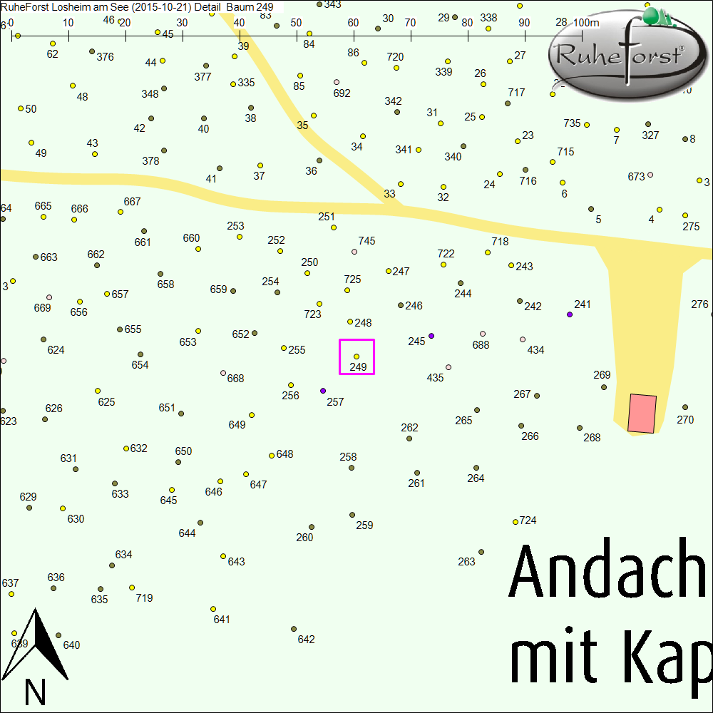 Detailkarte zu Baum 249