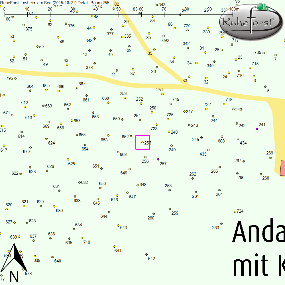 Detailkarte zu Baum 255