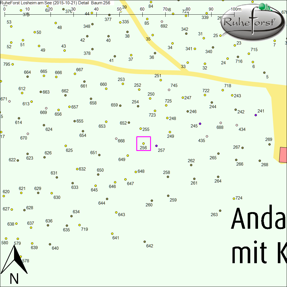 Detailkarte zu Baum 256