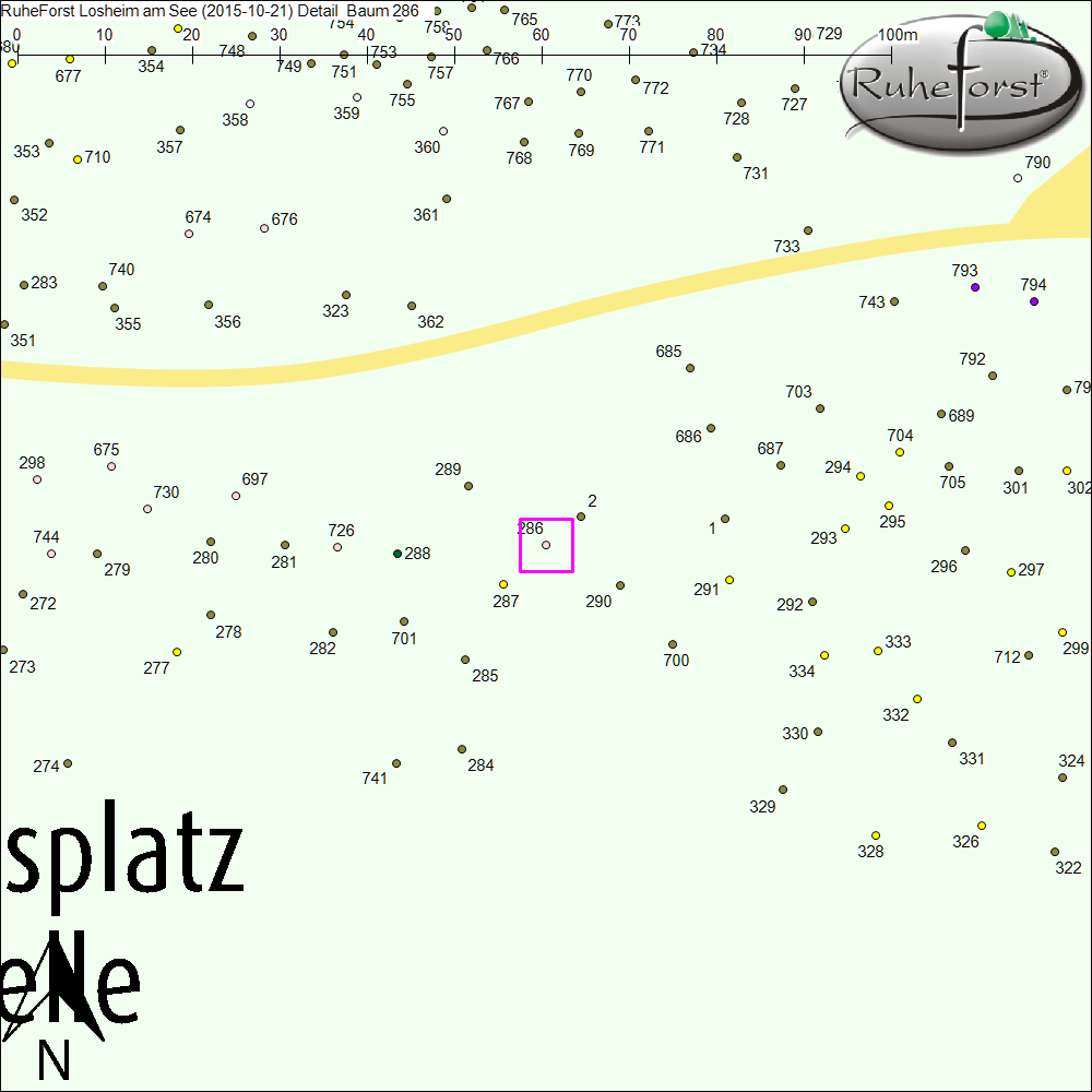Detailkarte zu Baum 286