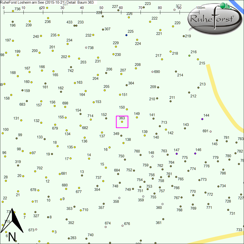Detailkarte zu Baum 363
