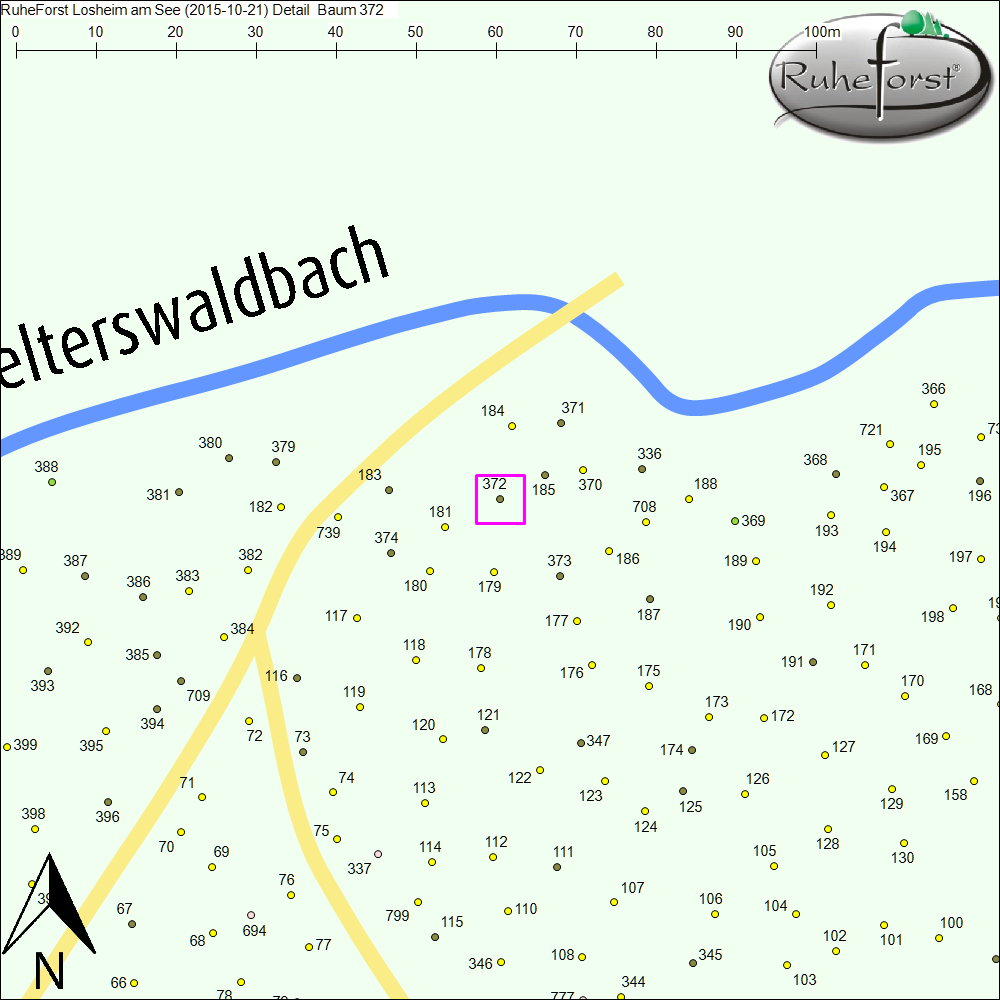 Detailkarte zu Baum 372
