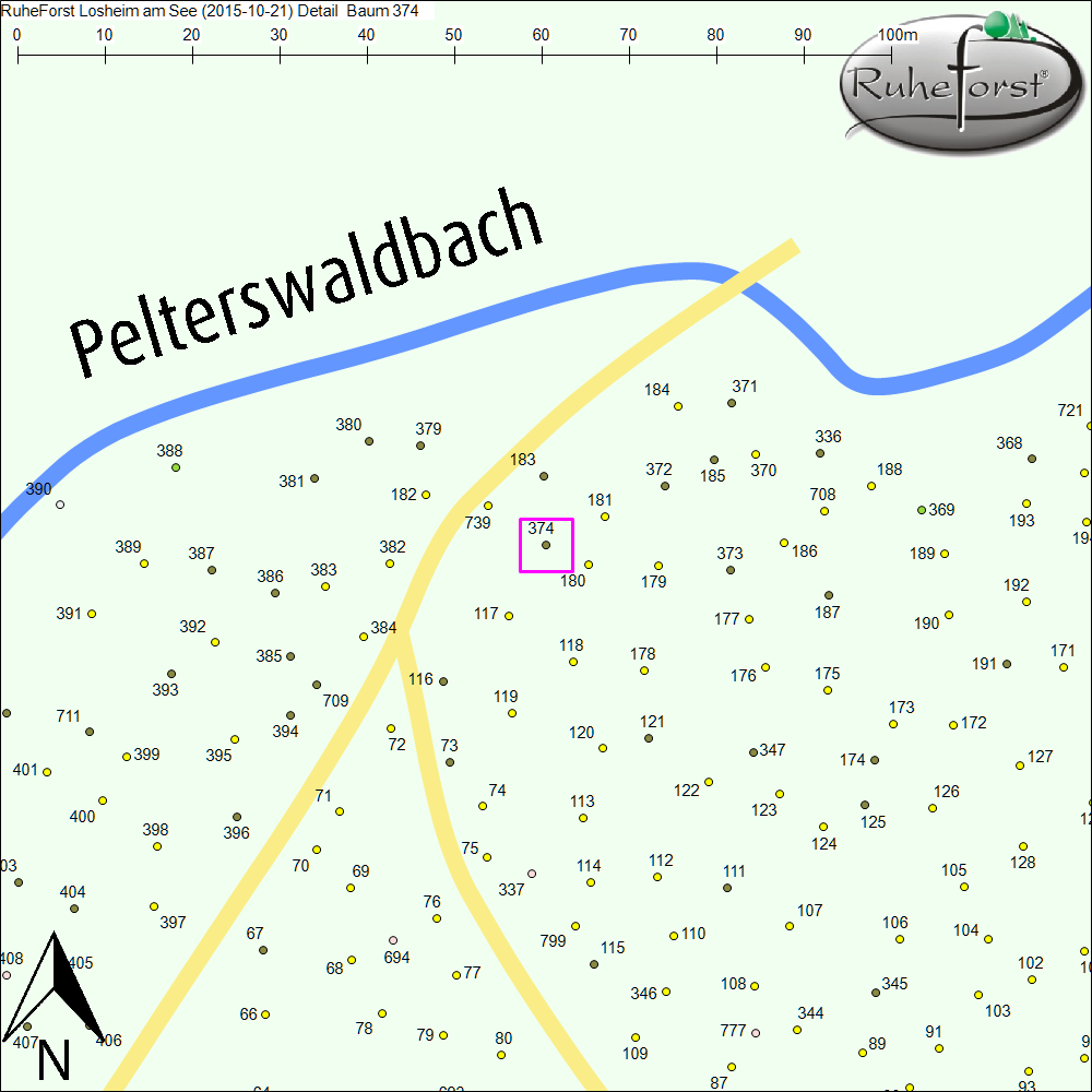 Detailkarte zu Baum 374