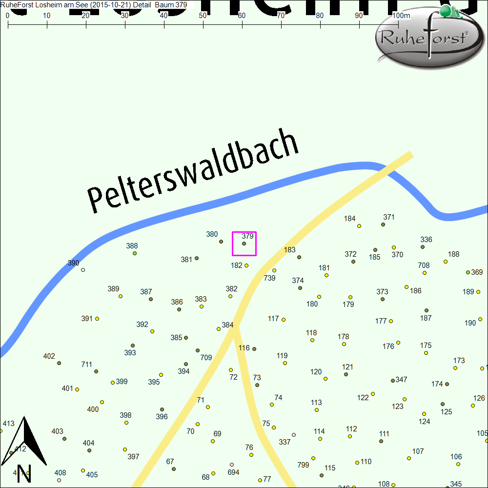 Detailkarte zu Baum 379