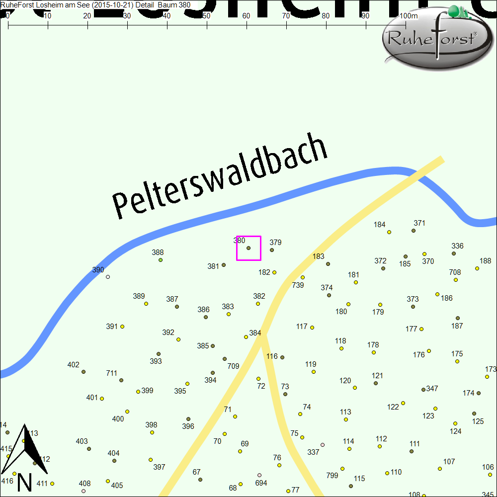 Detailkarte zu Baum 380