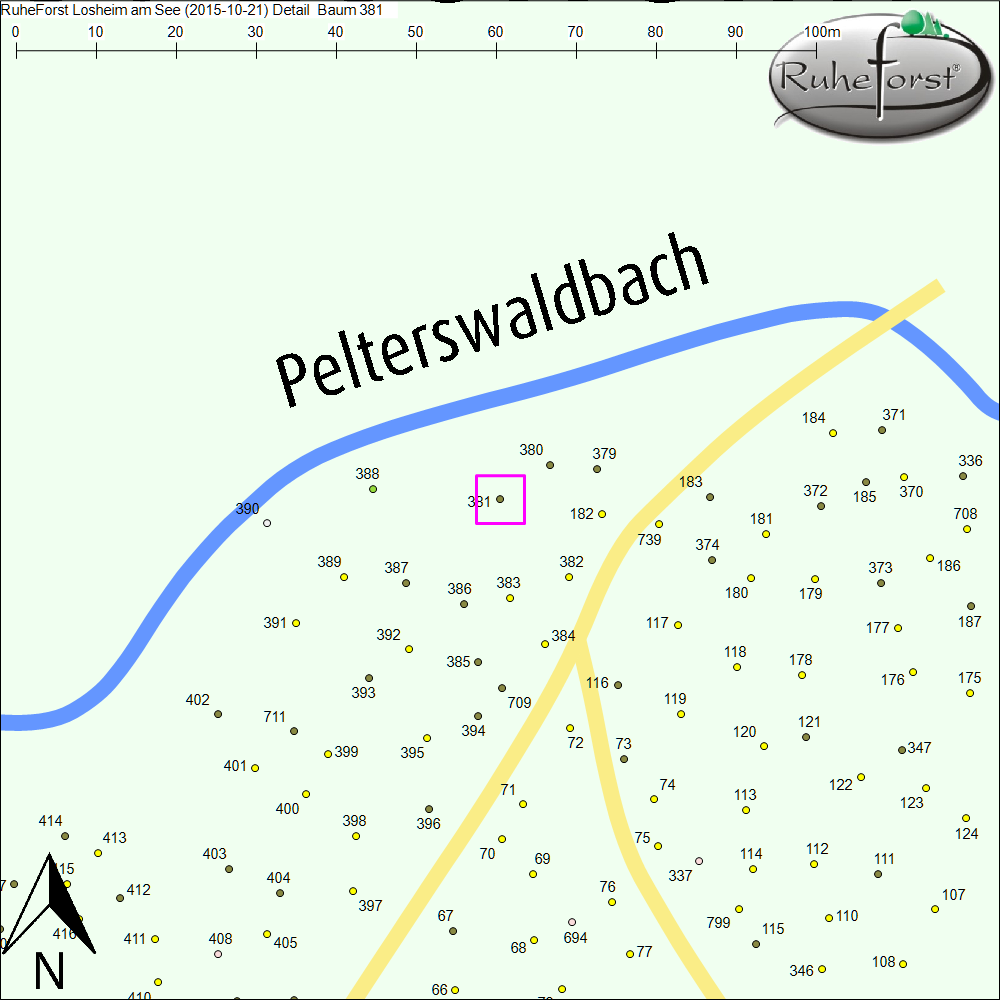 Detailkarte zu Baum 381