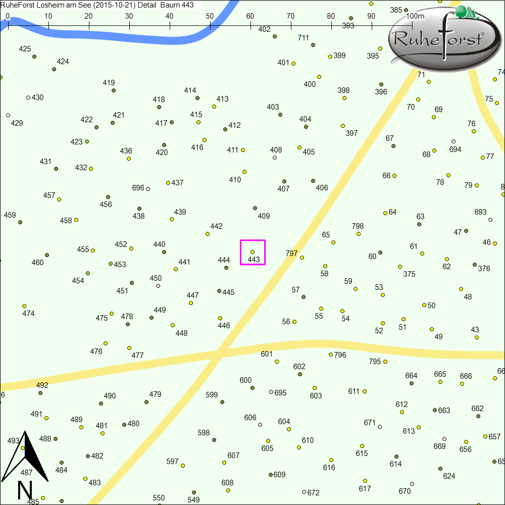 Detailkarte zu Baum 443