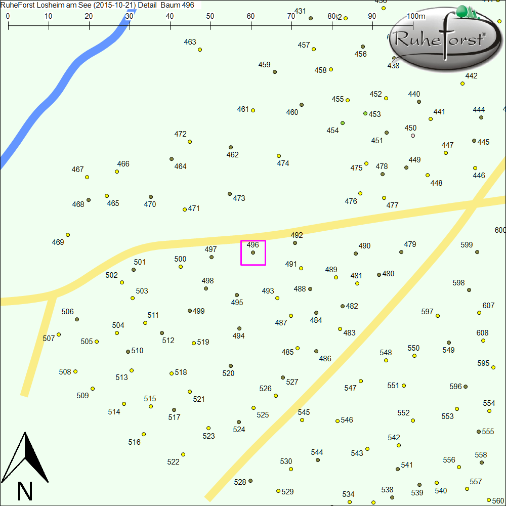 Detailkarte zu Baum 496