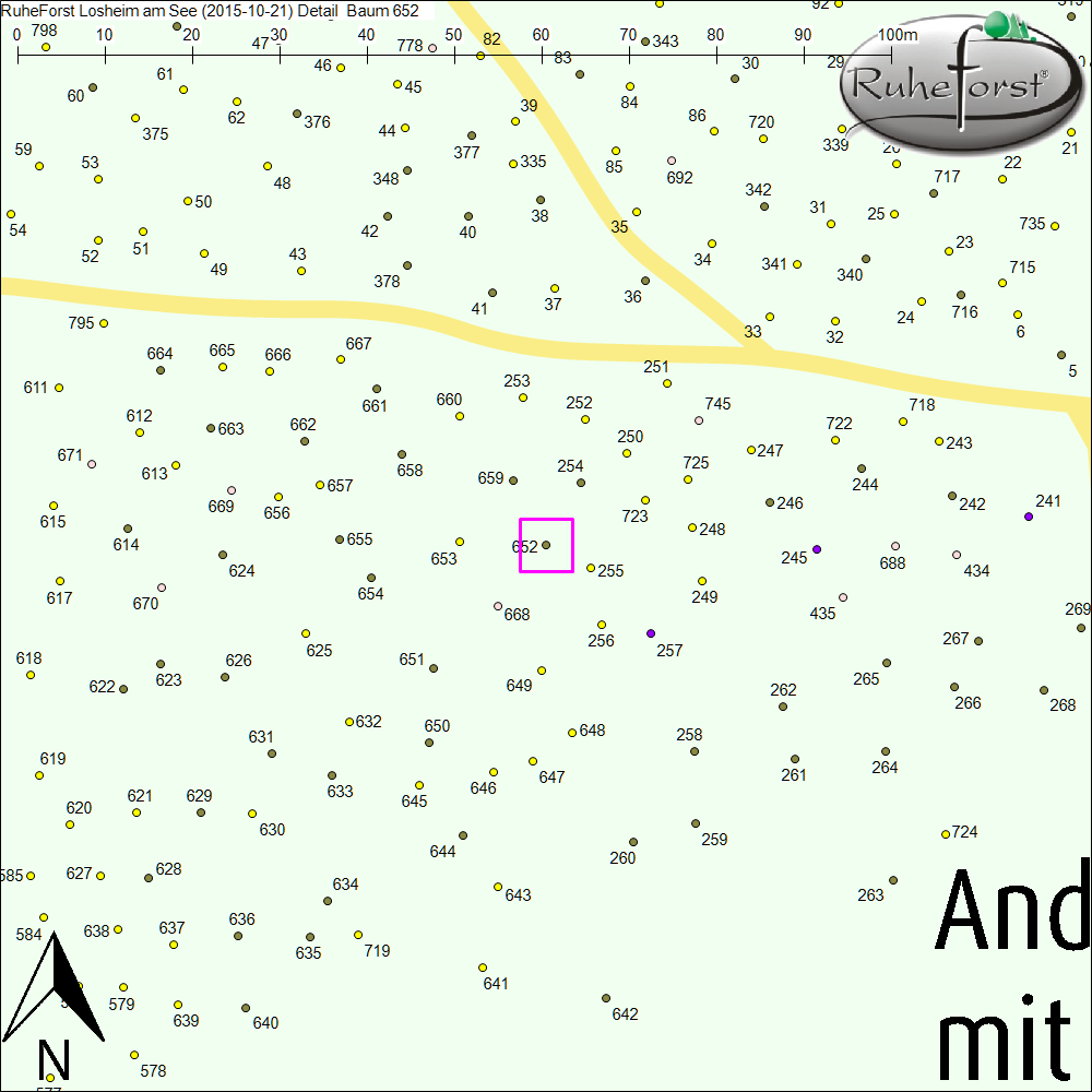 Detailkarte zu Baum 652