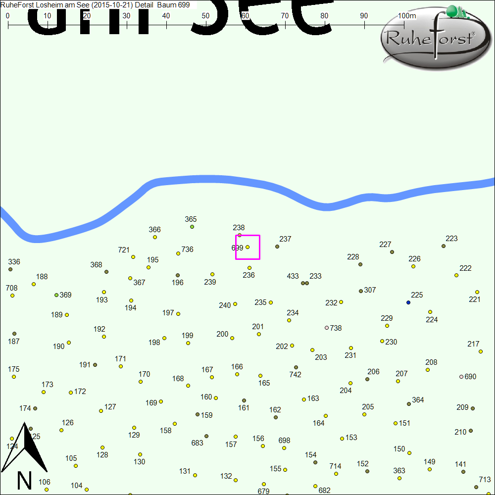 Detailkarte zu Baum 699
