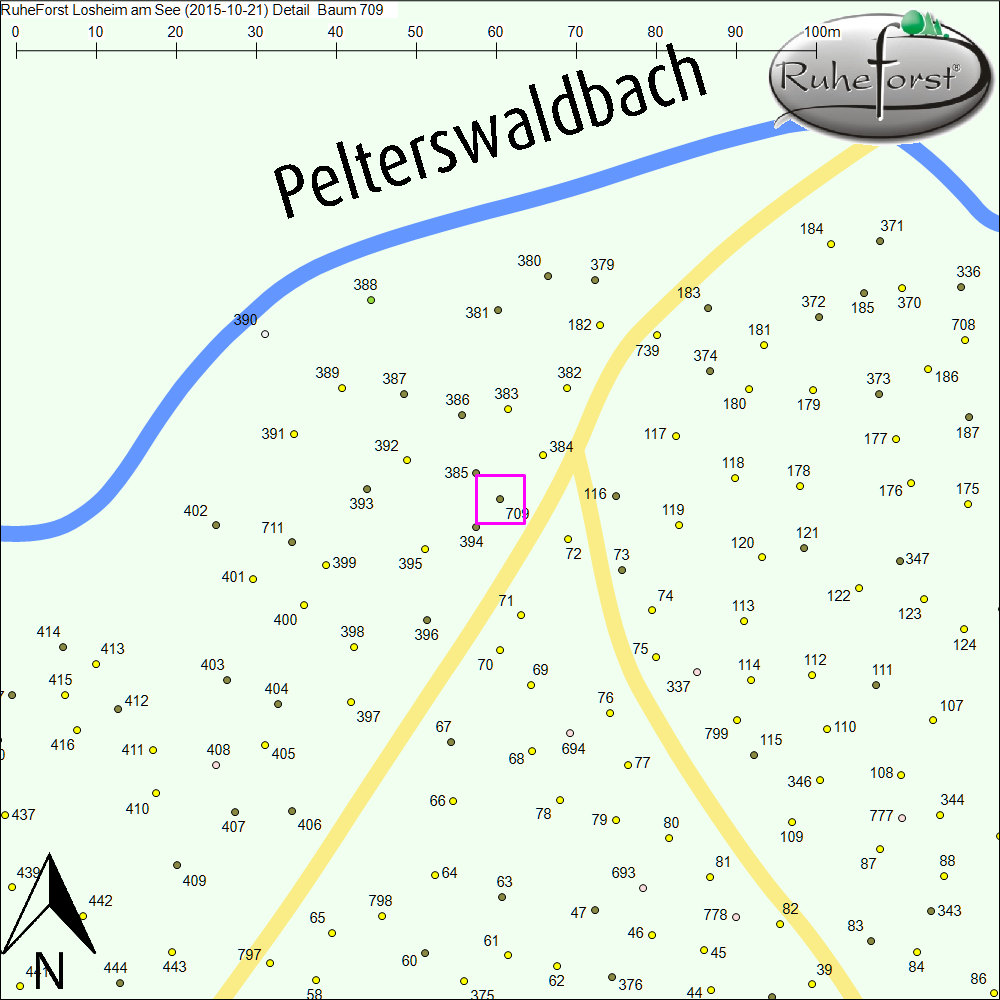 Detailkarte zu Baum 709