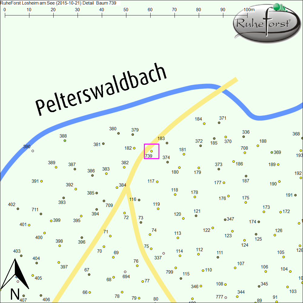Detailkarte zu Baum 739